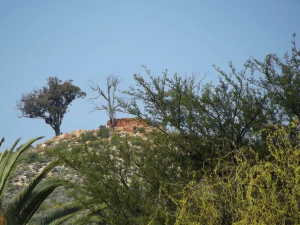 English fort from the Anglo Boer War thumbnail