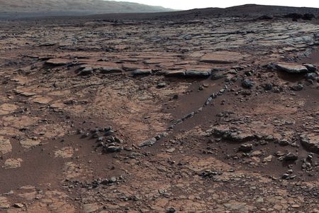 The Sheepbed mudstone, an ancient habitable lake in Gale Crater on Mars.
