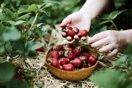 Short attention spans could be helpful for foragers, since switching quickly between food sources when exploring could lead to a higher yield, researchers suggest.