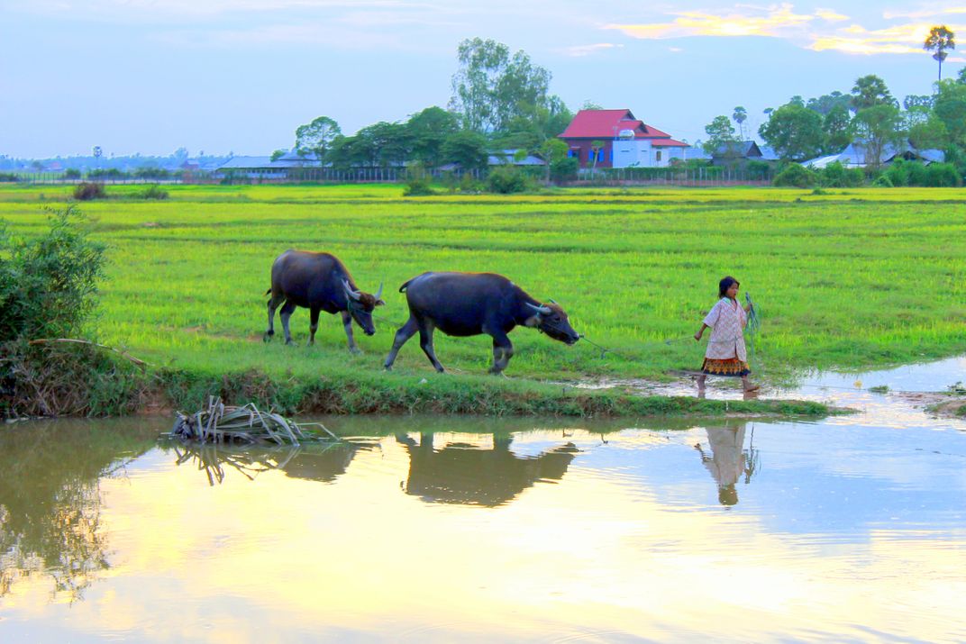 Cambodian countryside