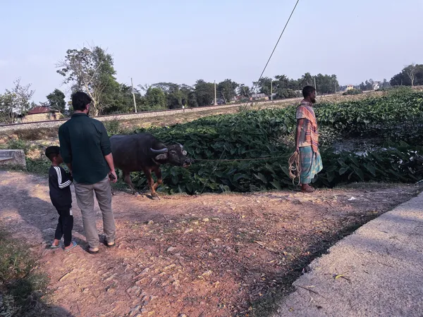 Welcome to Kulaura, Bangladesh thumbnail