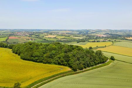 The Posbury Clump.