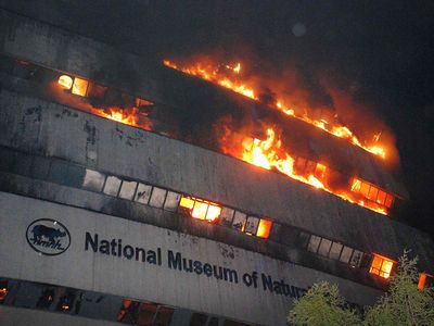 The National Museum of Natural History is seen engulfed in fire at Mandi house on April 26, 2016 in New Delhi.