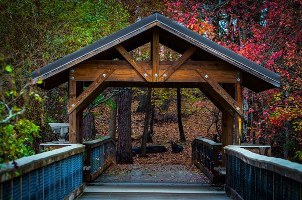 Leaves Turning Over a Bridge thumbnail