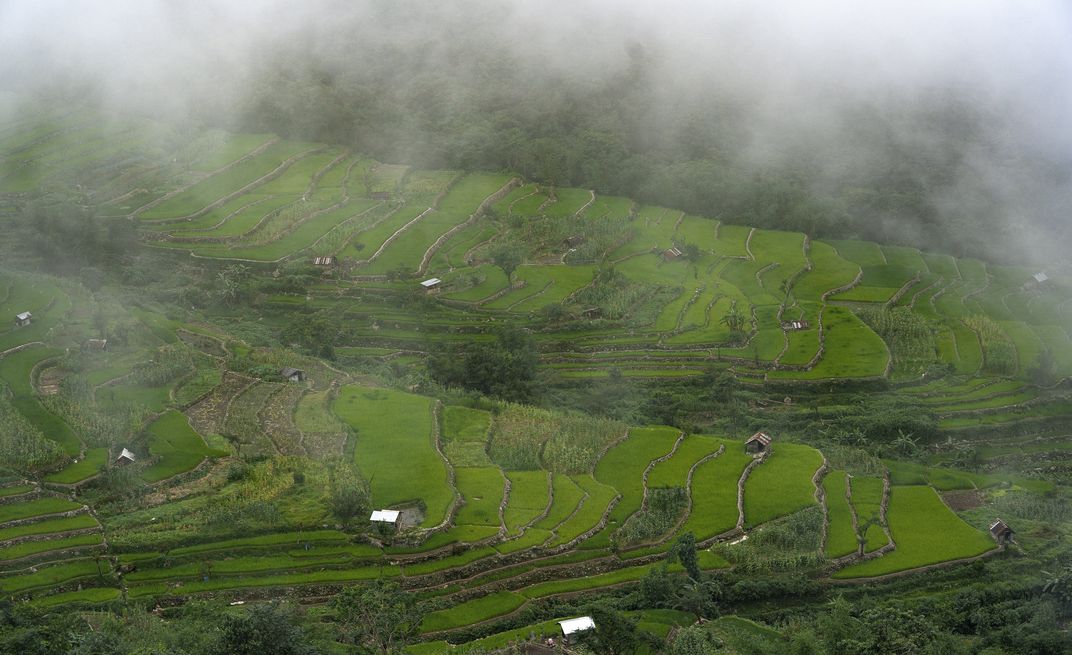 Terrace Paddy Fields, Khonoma Village, Nagaland, India | Smithsonian ...