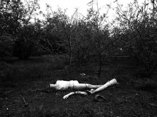 Fragmented Self thumbnail