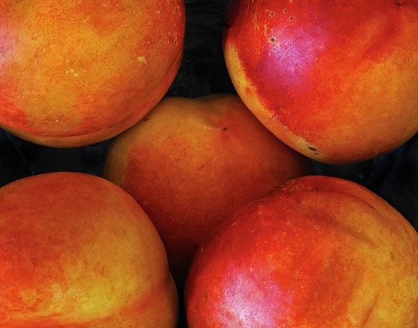 5 Nectarines thumbnail