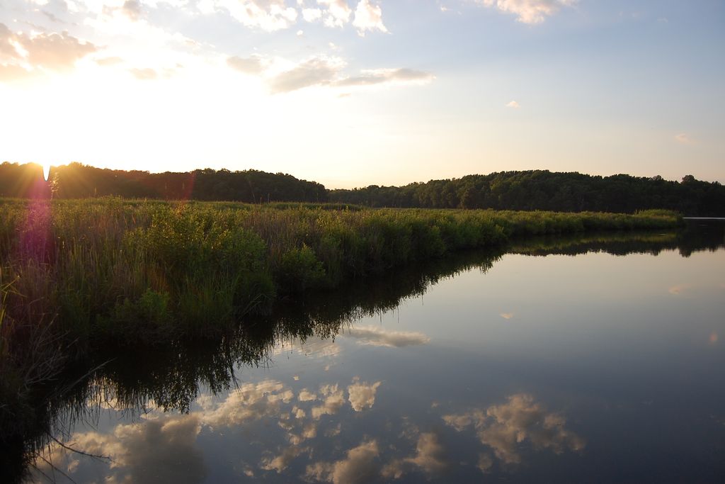 Global Change Environmental Research Wetland