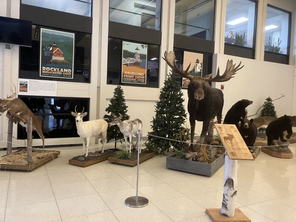 Welcome to Portland! thumbnail