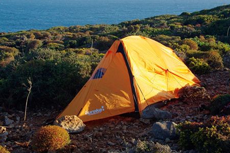 Getting away from artificial light and basking in sunlight can reset your internal clock, new research shows.