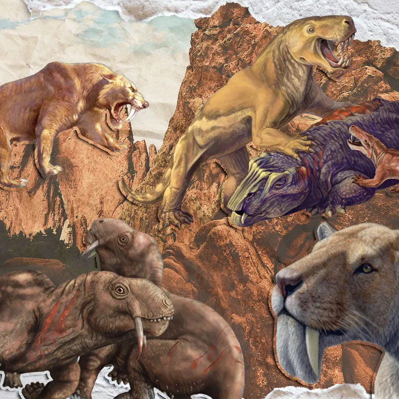 800px x 800px - Eight Menacing Saber-Toothed Creatures That Stalked the Earth Long Ago |  Science| Smithsonian Magazine