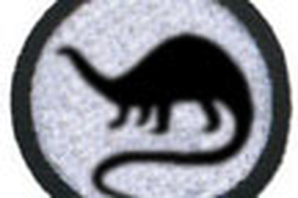 2011052008314572dinosaur.jpg