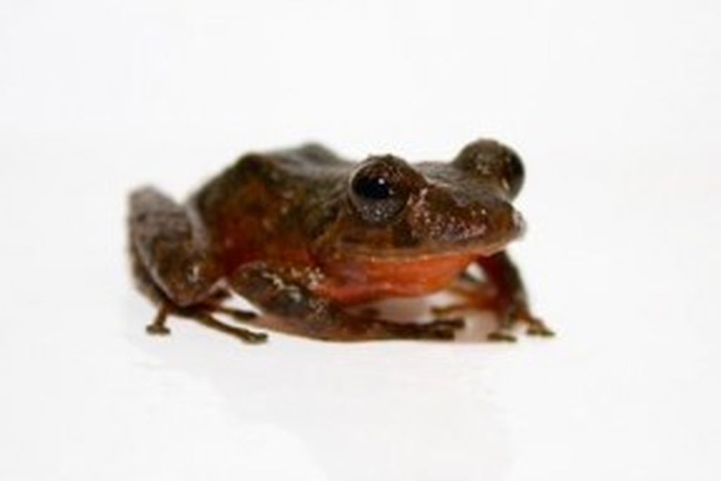 20110520110611image003-300x191.jpg