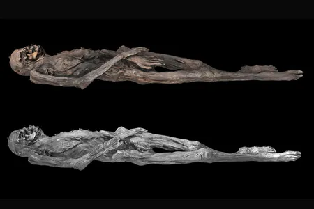 Digital 3D models of the female Pazyryk individual, using visible-spectrum photographs (A) and near-infrared photography (B).