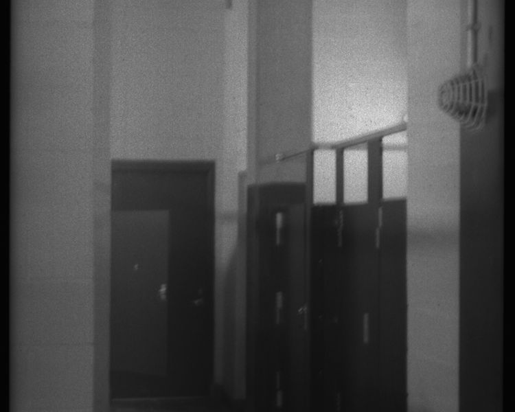 In the bathroom on Coney Island, New York. Smithsonian Photo Contest