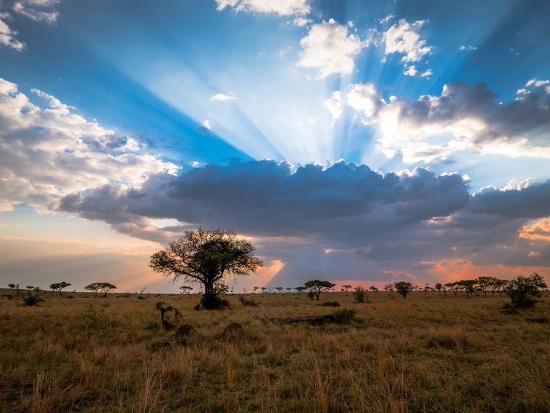 A Spectacular Serengeti Sunset | Smithsonian Photo Contest ...