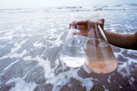 Seawater contains hundreds of viruses, revealed with dye in the flask on the right. Most are harmless, but some microbes living under the sea and amid the sand aren't. 