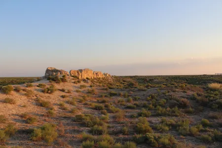 Archaeologists unearthed the nearly complete cat skeleton at the ancient settlement of Dhzankent in Kazakhstan.