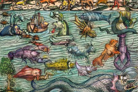 A 16th-century illustration of imaginary sea monsters from Cosmographia by Sebastian Mustern, based on creatures from Carta Marina by Olaus Magnus.