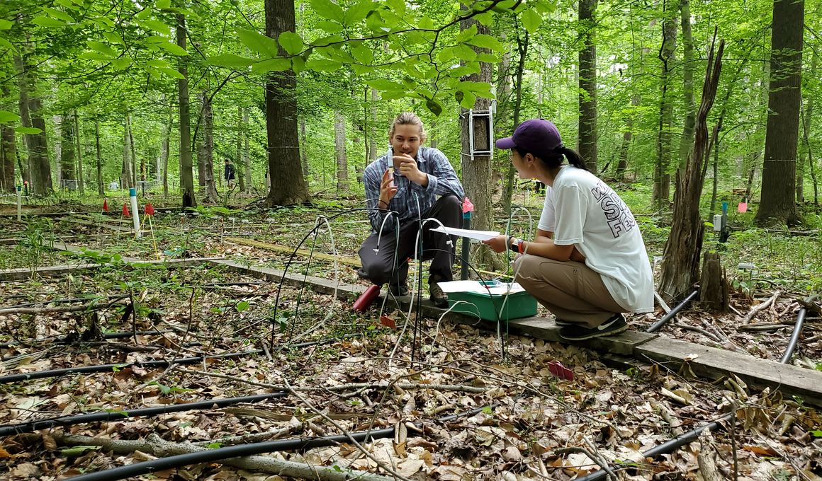 Smithsonian Environmental Research Center Blog | Smithsonian Magazine