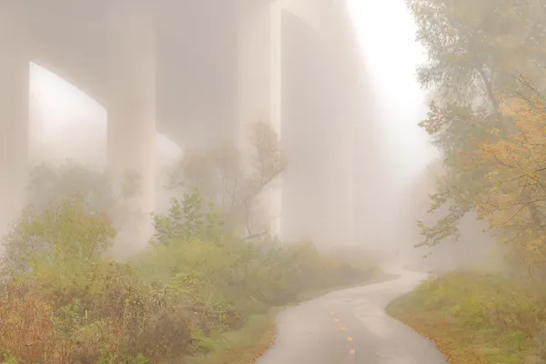 Morning Fog 3 thumbnail