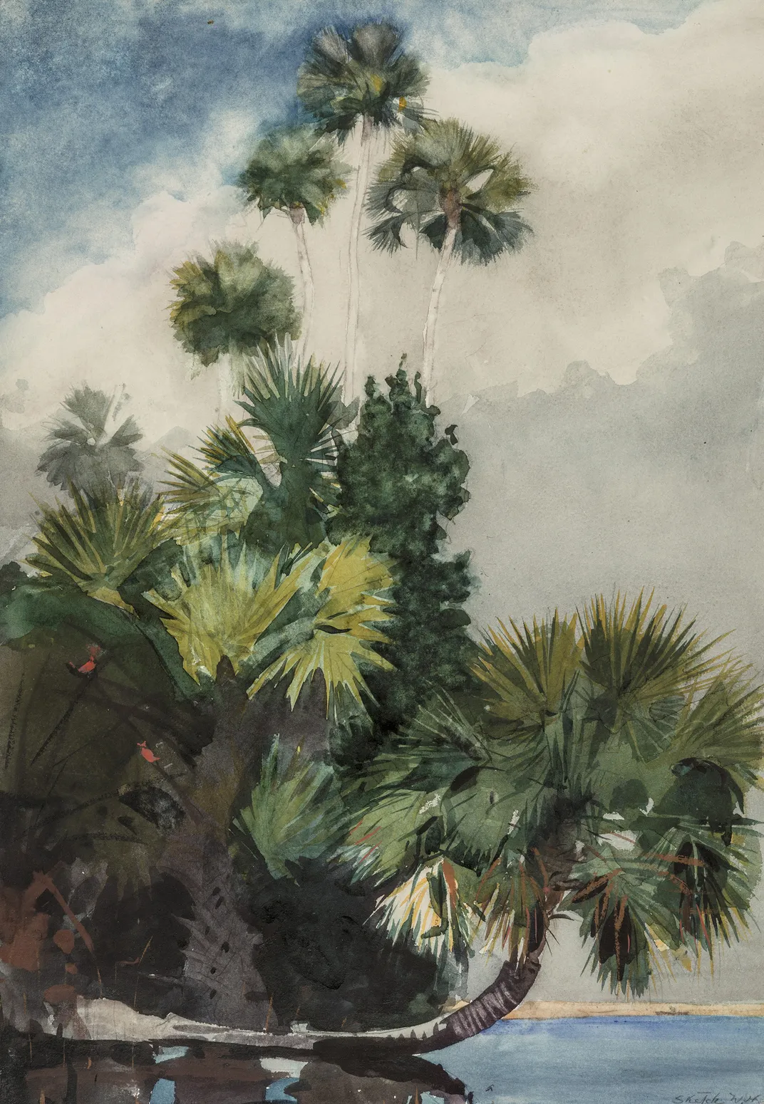 Palm Trees, Florida, 1904. In his later years, the New Englander’s escapes to warmer climates provided ample inspiration.