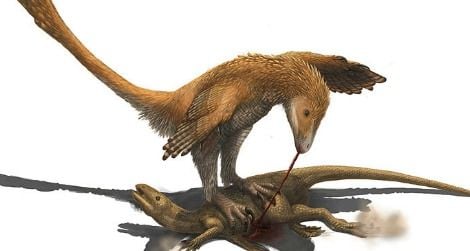 Did Deinonychus and other “raptors” use their foot claws to restrain prey?