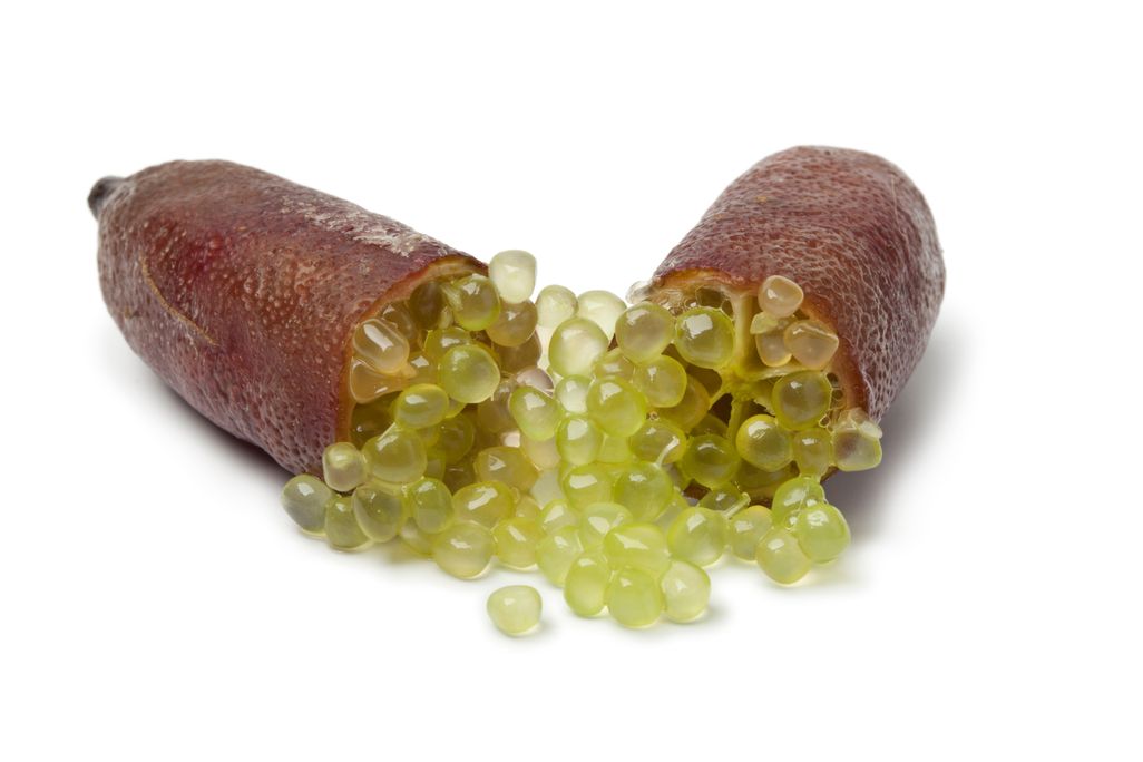 A lime finger broken open; the fruit is ovular with a brown outer layer and pulp sometimes described as "citrus caviar"
