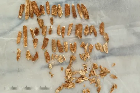 Scientists used fragments of the child's right forearm bone to date the skeletal remains.