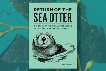 sea otter.png