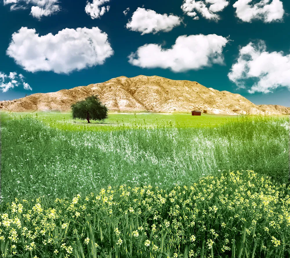 This picture is a beautiful village in the country of Iran and the city of Kazerun, called Kamarej.