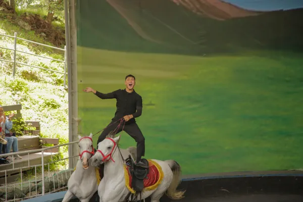 Standing Tall on Galloping Horses thumbnail