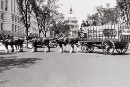The first Budweiser Clydesdale team paraded down Pennsylvania Avenue to deliver a case of Budweiser to President Roosevelt. The fancy horses have been a company tradition ever since.