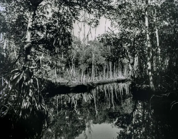 So Near, Yet So Far thumbnail