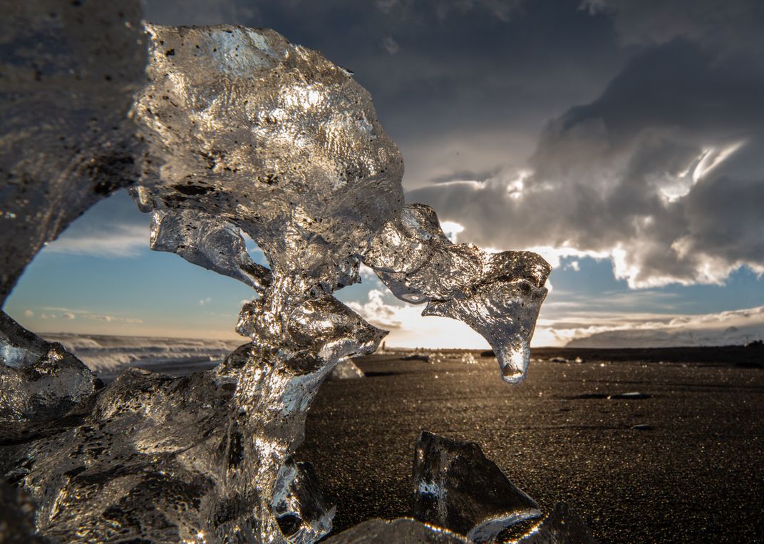 Ice Animal Smithsonian Photo Contest Smithsonian Magazine