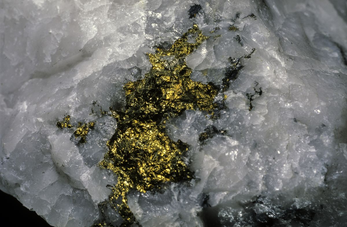 How do large gold nuggets form in quartz crystals during earthquakes?