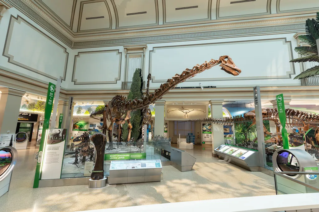 NMNH-2019-00508.jpg