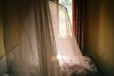 In places where malaria thrives, mosquito nets are used to keep the bugs away from people as they sleep.