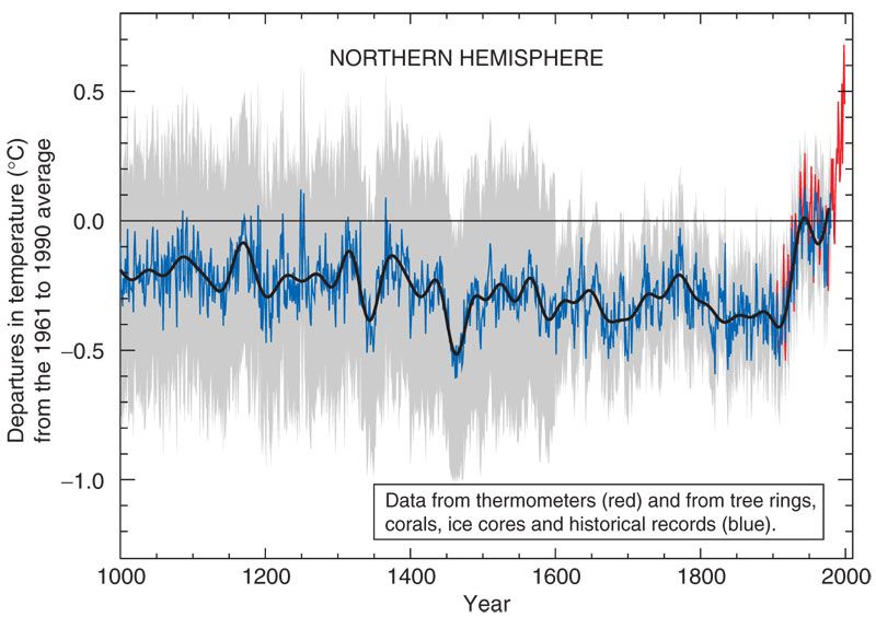 The IPCC’s famous “hocket stick” chart of global temperatures.