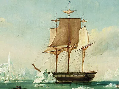 In 1838, 346 seamen embarked on a massive sailing expedition that would confirm the existence of Antarctica.