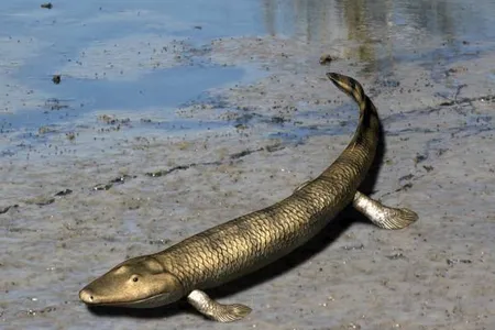 A visualization of&nbsp;Tiktaalik roseae, an extinct aquatic&nbsp;animal&nbsp;with fossils that shed light on the evolution of land animals from marine animals millions of years ago.