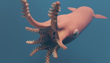 What New Tech Is Revealing About Squishy, Prehistoric Cephalopods