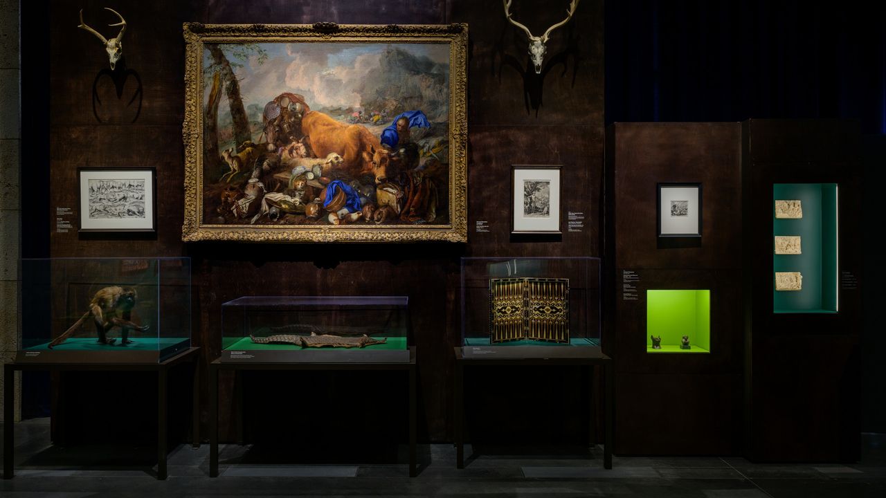 アート・デザイン・音楽 CHAMBER of CURIOSITIES The Pre-Modern