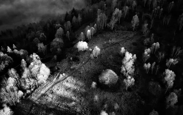 Last rays of the day thumbnail