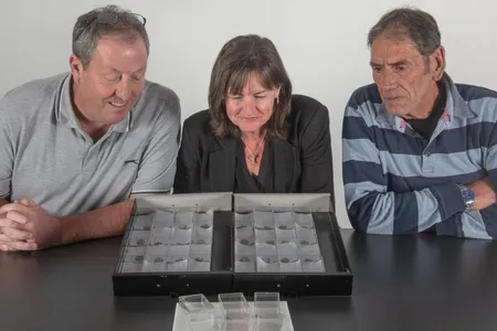 The 36 silver coins, minted between&nbsp;1000 to 1065 C.E., have been declared official treasure.&nbsp;