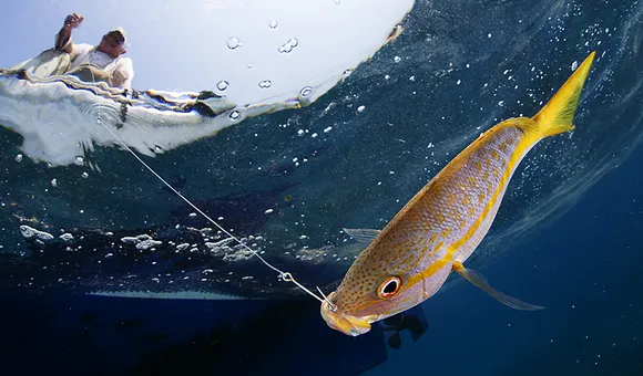 Climate change is causing oceans to warm, which in turn affects fish and fishers. Now, scientists are turning towards management strategies to protect species and the industry. (Claudio Contreras-Koob/International League of Conservation Photographers) 