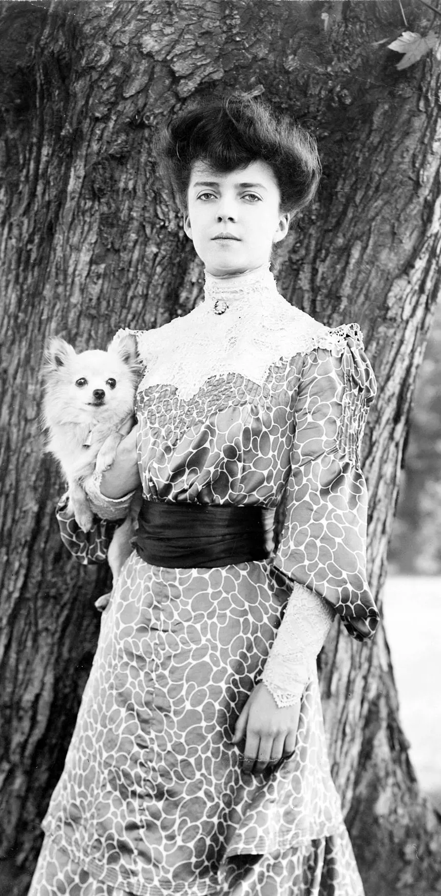 Alice Roosevelt with her long-haired chihuahua, Leo, in 1902