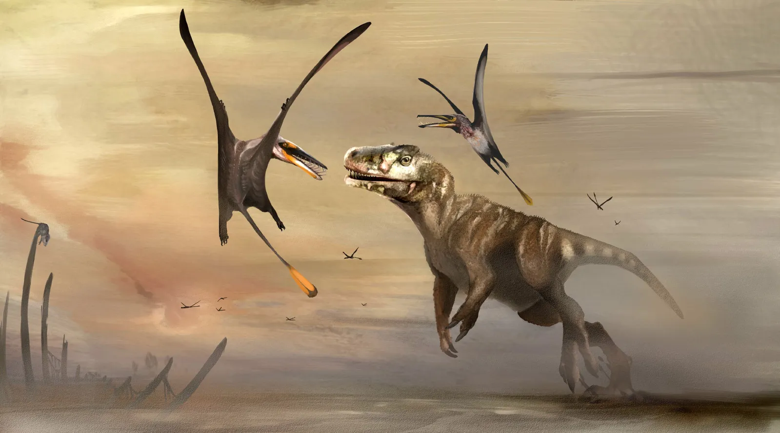 Remains of 'world's largest Jurassic pterosaur' recovered in