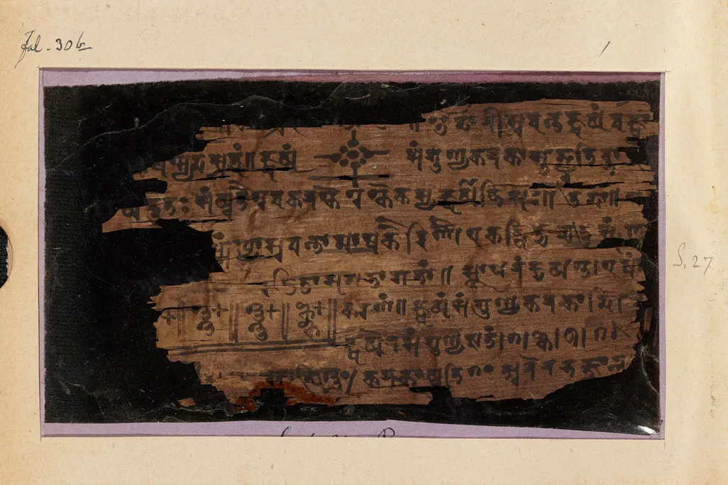 MS.+Sansk_d.14_16v.jpg