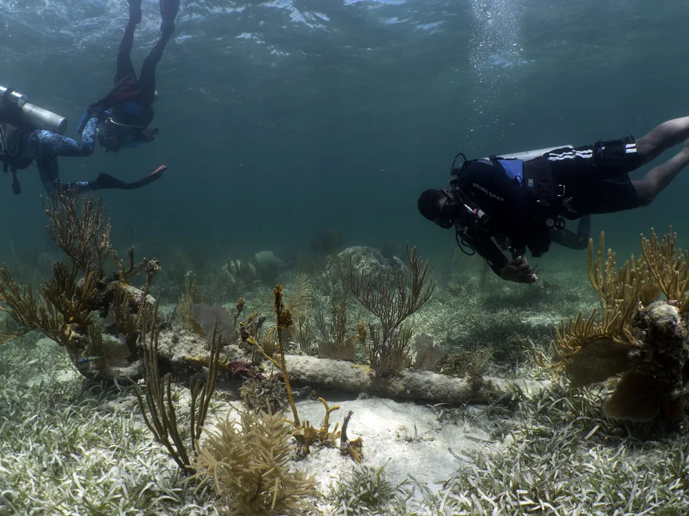 Divers examine an iron anchor believed to come from the British antislavery patrol ship H.M.S. Nimble, which ran afoul of the Florida Keys' sharp reefs in 1827 while chasing the illegal Spanish slaver the Guerrero.